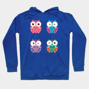 Bright colorful owls (3) Hoodie
